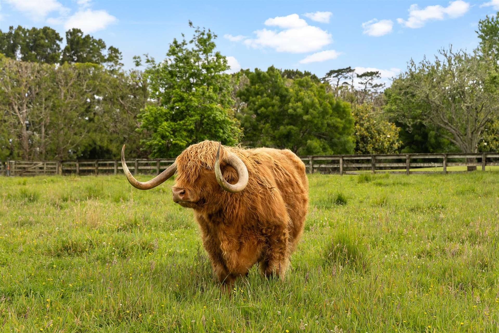 Lots 1, 2, 3 and 4 of 5 Dysart Lane Kumeu_0