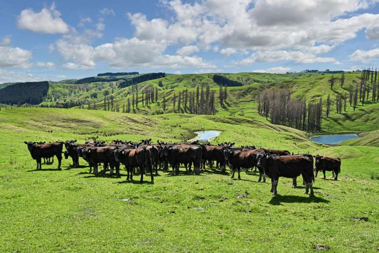 683 Bush Road Wallingford_47