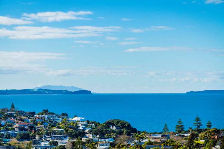 163b Kowhai Road Mairangi Bay_3