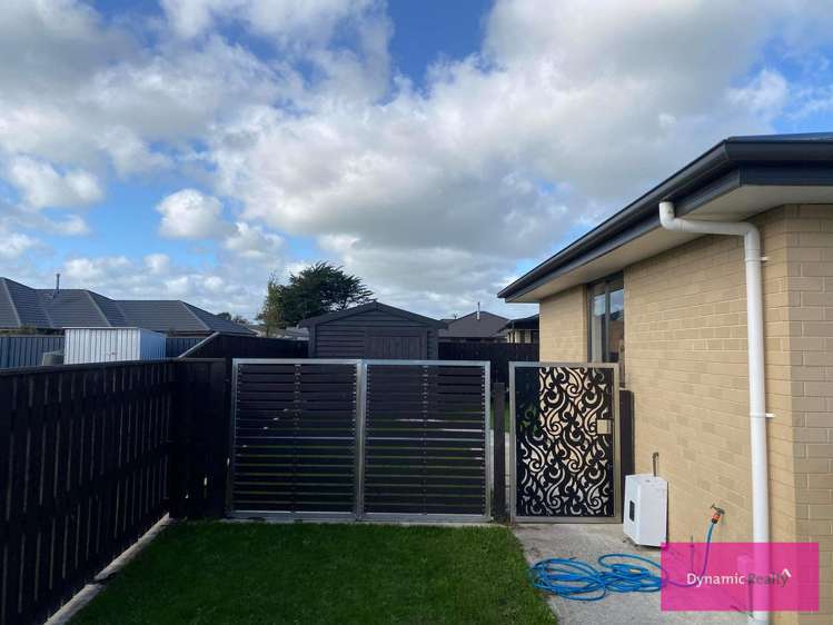 15 George Street Bulls_15