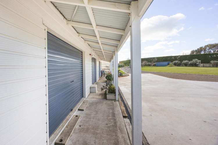 63 Sutherland Road Sanson_18