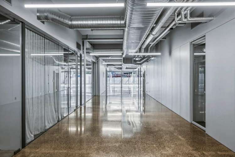 24 Balfour Road Parnell_10