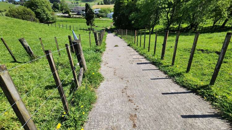 133 Kaimata Road Kaimata_8