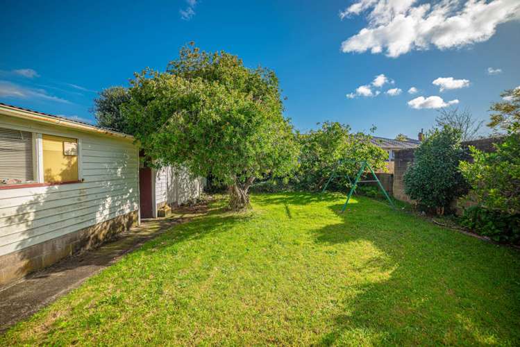 6 Halston Road Mount Eden_9
