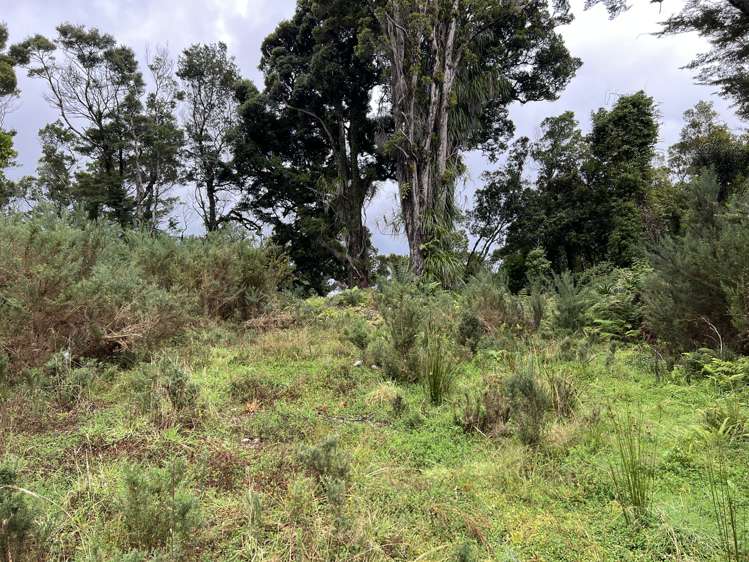 Lot . State Highway 6 Barrytown_12