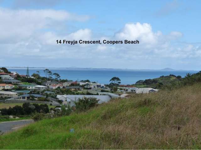 14 Freyja Crescent Coopers Beach_2