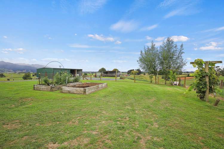 320 Bell Road Pirongia_19