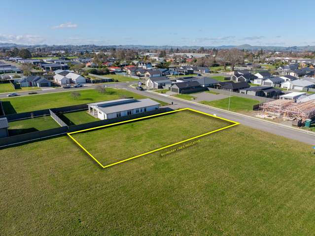 6 Ross Taylor Masterton_3