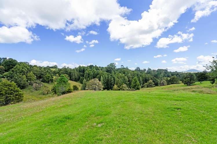 395 Tangihua Road Maungakaramea_12