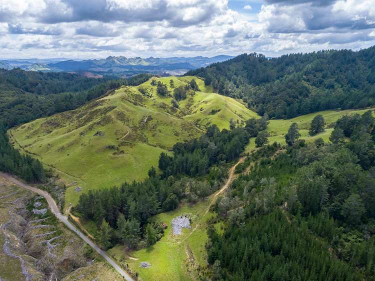 939 Kaiwhata Road Te Wharau_7