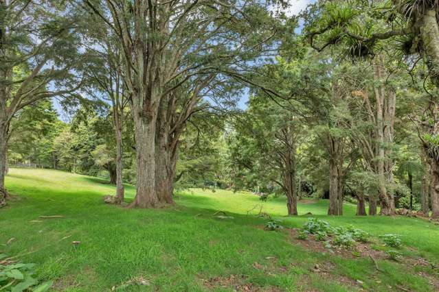 81 Crane Road Ngararatunua_2