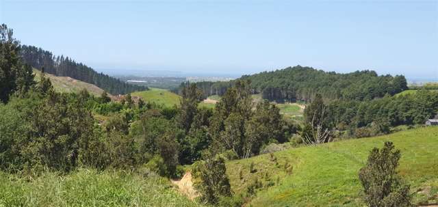 Lot 26/394A Te Puke Quarry Road Te Puke_2