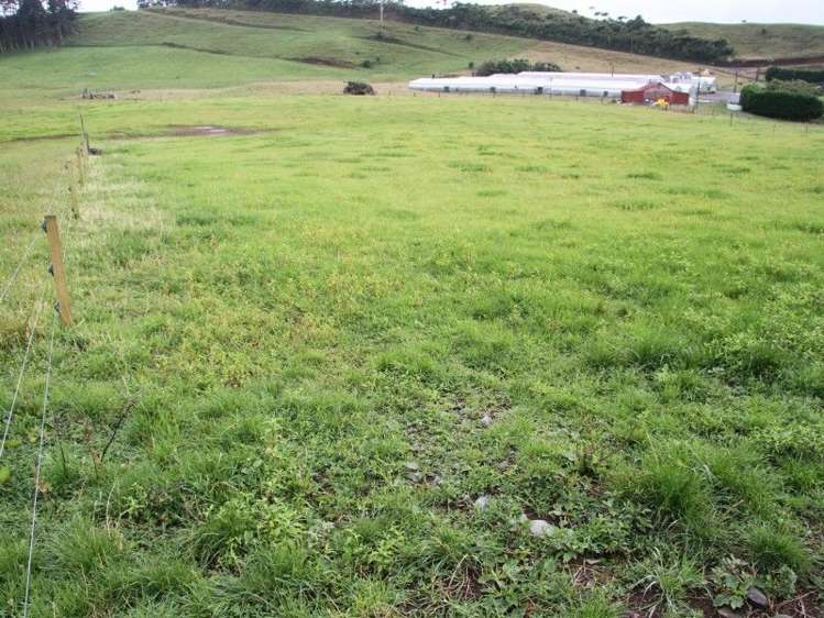 382 Awai Road Tarurutangi_24