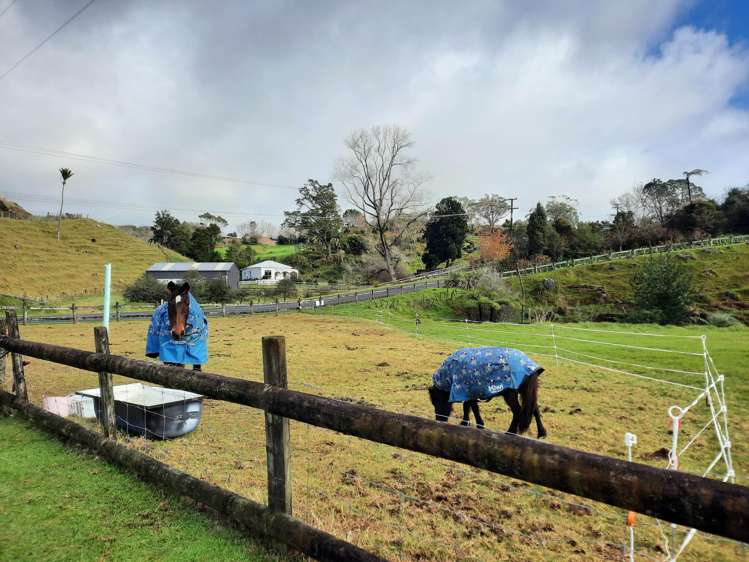 65 Veale Road New Plymouth_37