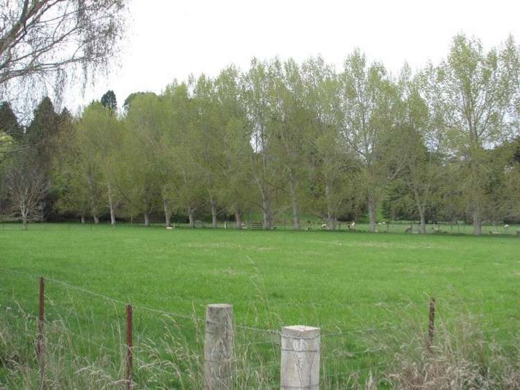 14 Grindon Street Waitahuna_17