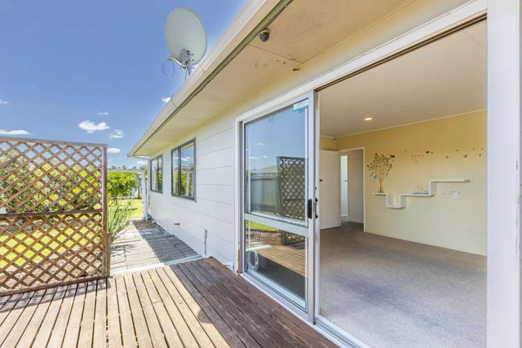 34 Lancaster Street Tamatea_7