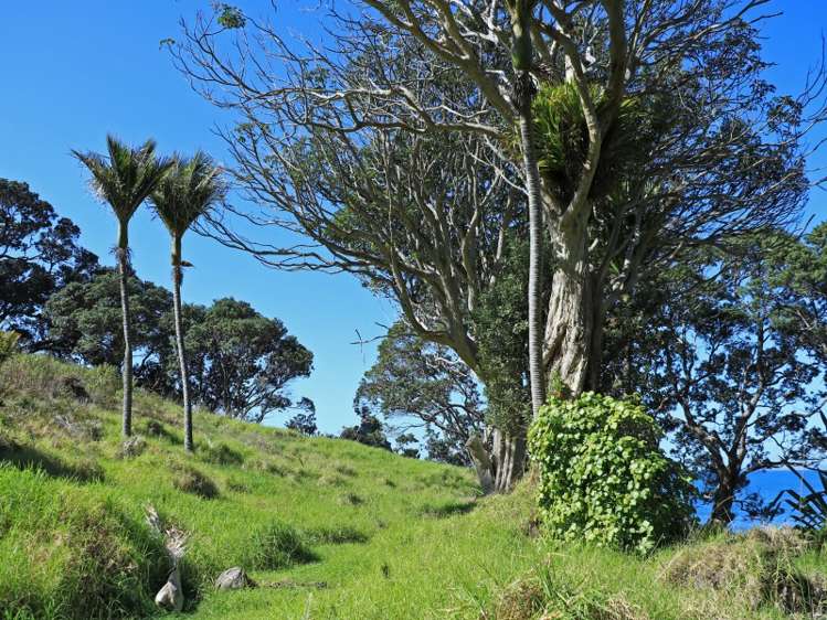 24 Boulder Bay Drive Tuateawa_10