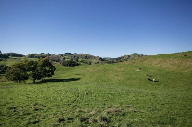 154 State Highway 3 Te Kuiti_2