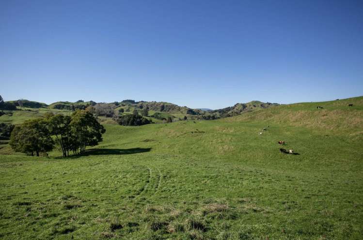 154 State Highway 3 Te Kuiti_2