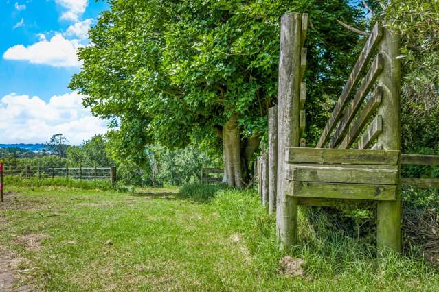 26 Wilson Road Warkworth_4