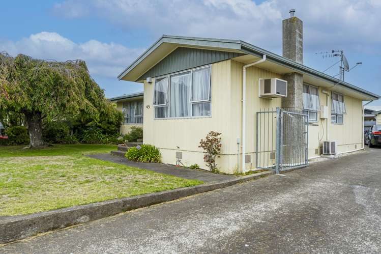 45 Caernarvon Drive Flaxmere_1