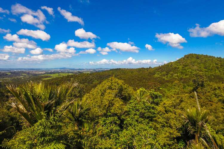 146 Opanuku Road Henderson Valley_1