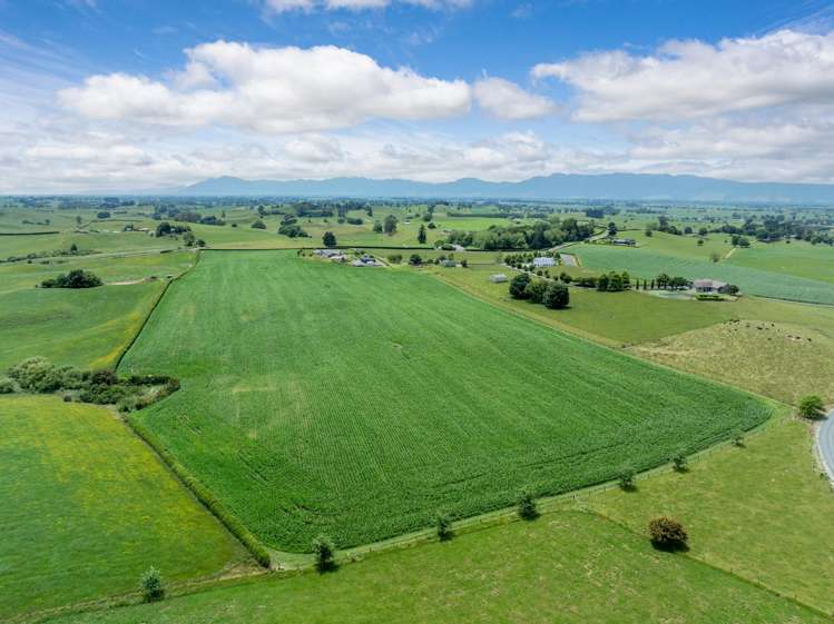 23 Morgan Road Matamata_26
