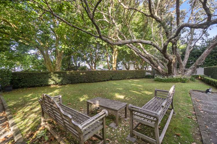 10c Domain Drive Parnell_22