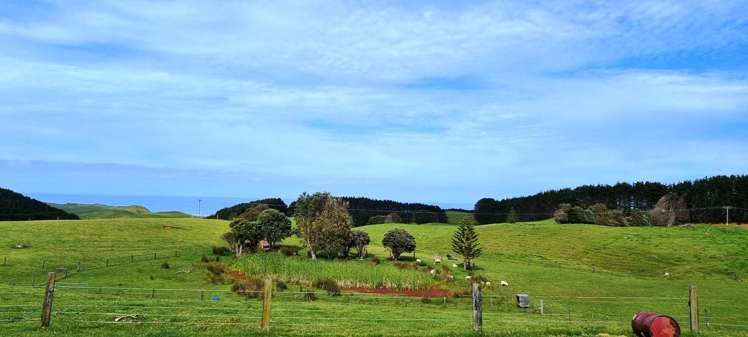 1265 Babylon Coast Road, Mamaranui Dargaville_14