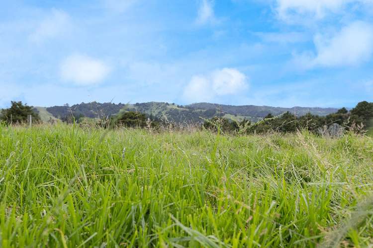 Lot 2/347 Porter Road Paparoa_20