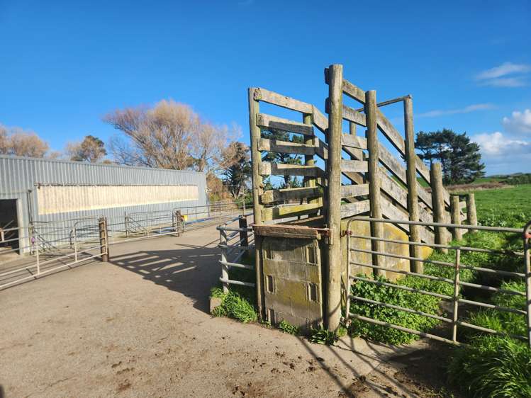 105A Hunts Road Hawera_9