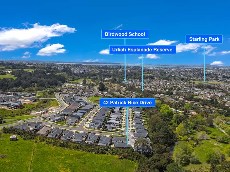 42 Patrick Rice Drive Swanson_22