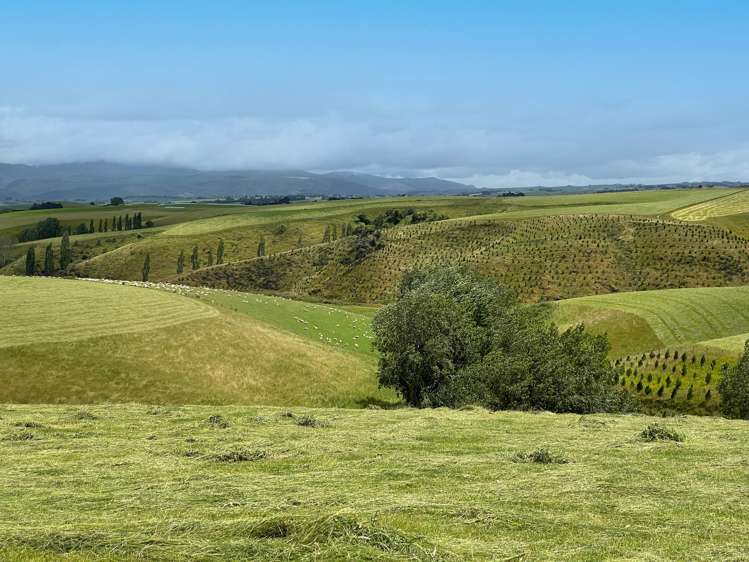 446 Skinner Road Clinton and Surrounds_11