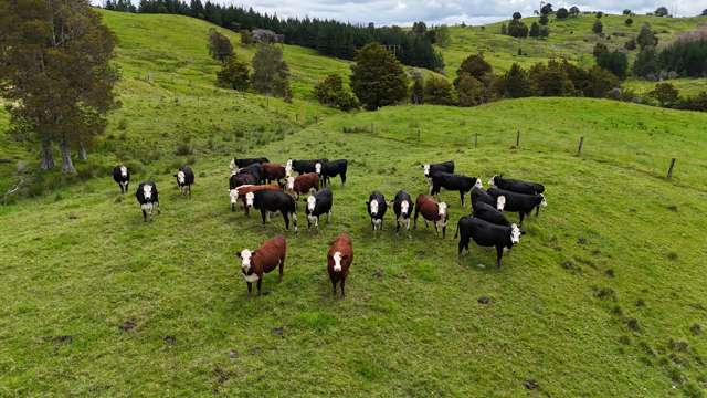 2895 State Highway 1 Umawera_2