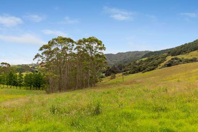 3060 Kaipara Coast Highway Glorit_1