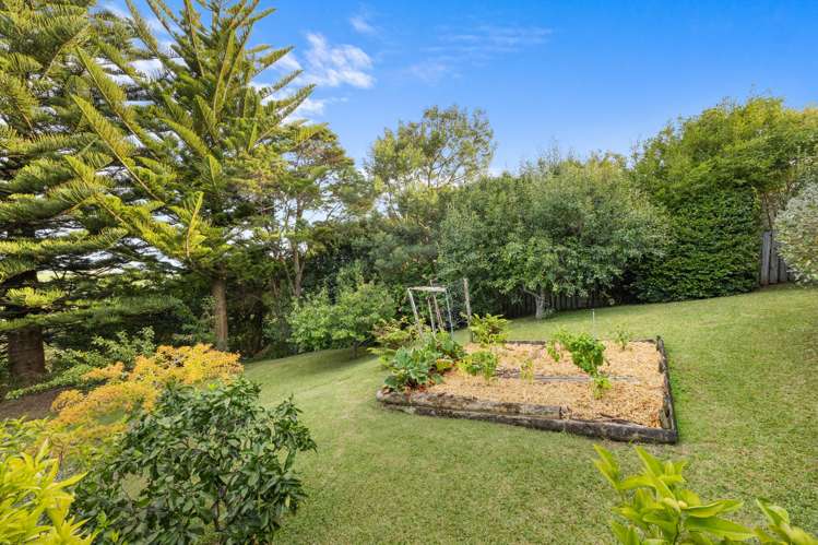 63 Hartley Terrace Massey_31