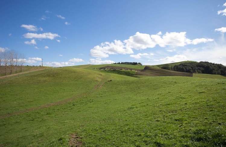 1400 Buckland Road Karapiro_3