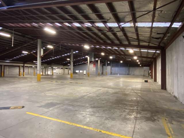 11 Mcdonald Street Morningside_2