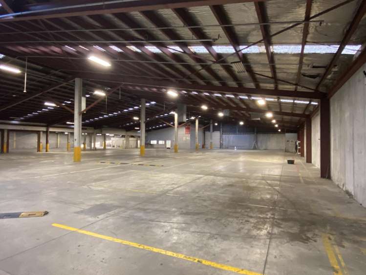 11 Mcdonald Street Morningside_2