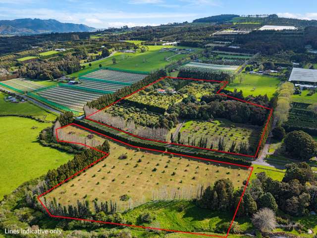 131 Tatton Road Maungatapere_2