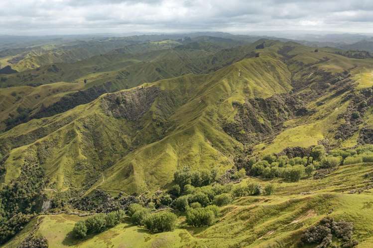 3104 Mangamahu Road Mangamahu_14