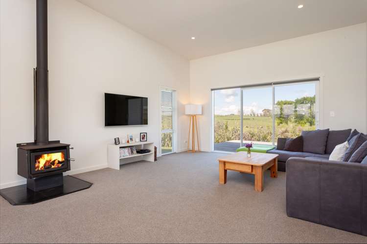523 Tauhei Road Morrinsville_9