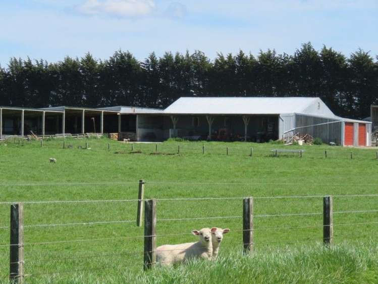 136 Kapuka North Road Wyndham Surrounds_5