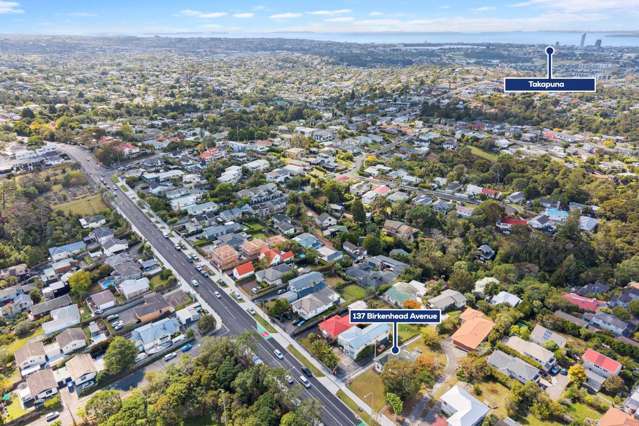137 Birkenhead Avenue Birkenhead_4