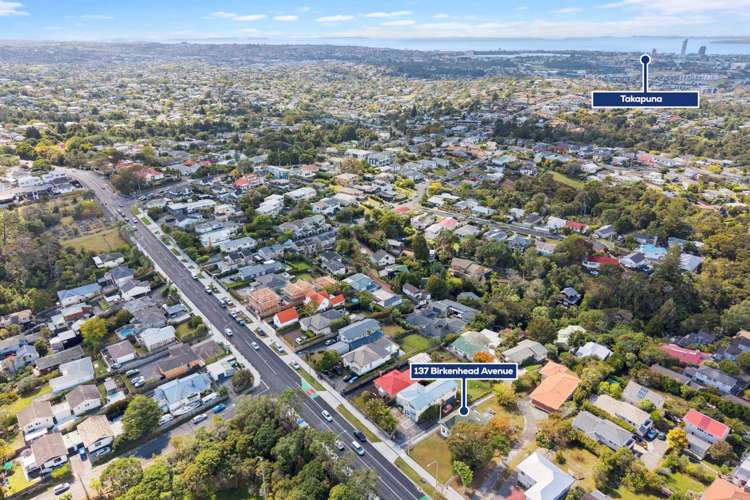 137 Birkenhead Avenue_5