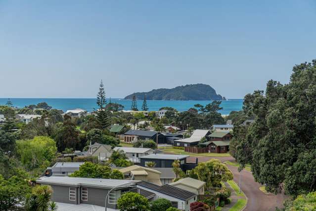 41 Mount Ave Pauanui_4