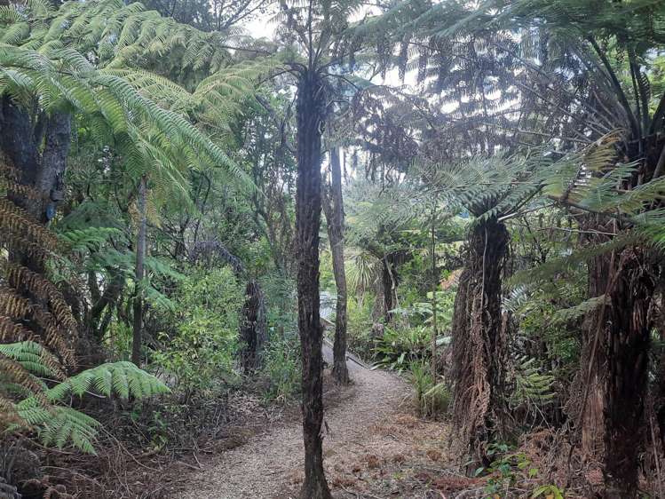 68 Manuka Road Glenfield_19