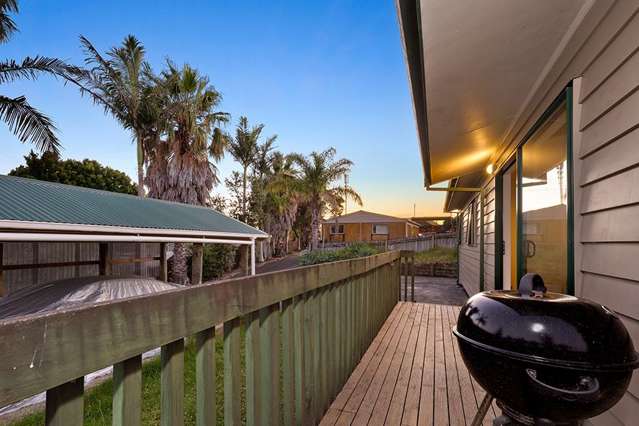 163a Don Buck Road Massey_3