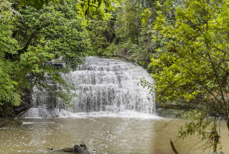 34/5 Perekia Street Albany_12