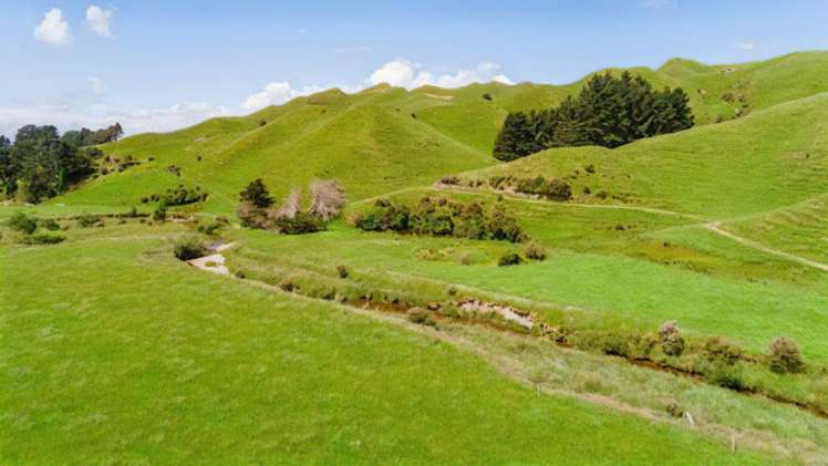 Mangaraupiu Road Eketahuna_9